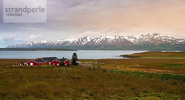 Blick auf Felder und Bauernhaus im Fjord von Eyjafjordur in Island