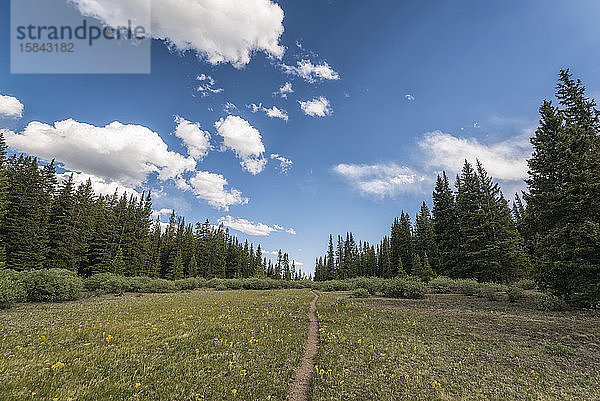 Wanderweg in der Wildnis der Büffelgipfel