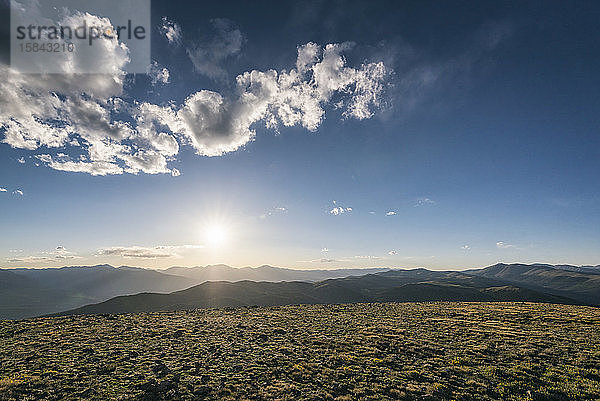 Sonnenaufgang in der Wildnis der Buffalo Peaks