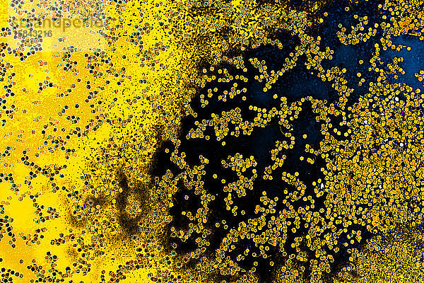 Makroaufnahme einer Wasser-Öl-Emulsion über farbigem Hintergrund