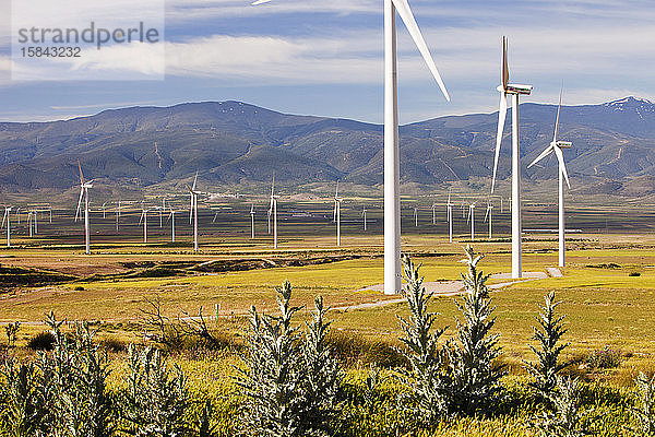 Ein Windpark in der Nähe von La Calahorra in Andalusien  Spanien.