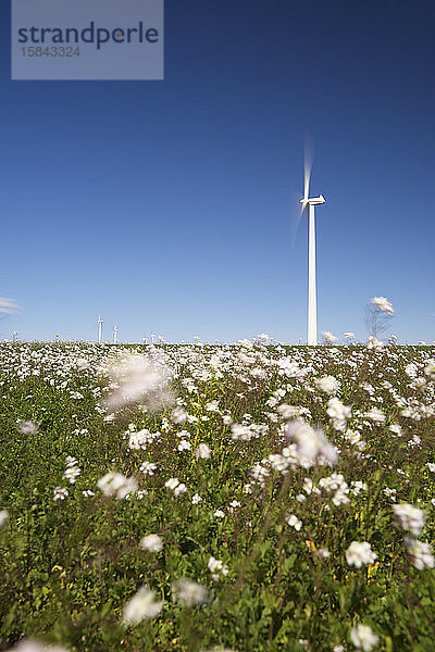 Windmühlen zur Erzeugung erneuerbarer elektrischer Energie in Spanien.