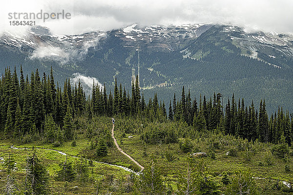 Landschaftliche Ansicht einer alpinen Umgebung an einem bewölkten Sommertag im Whistler Blackcomb Skigebiet in Britisch-Kolumbien.