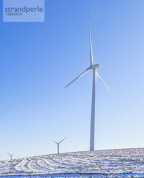 Windturbinen in einem schneebedeckten Feld mit blauem Himmel