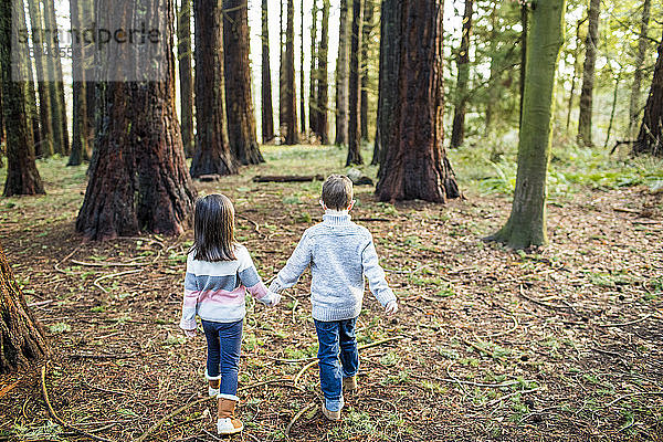 Rückansicht von süßen Kindern  die durch den Wald laufen.