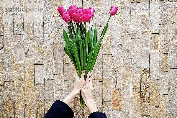Hände  die eine Tulpenhandtasche auf dem Wandhintergrund halten