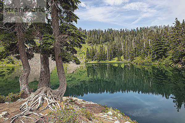 Unverfälscht blauer See spiegelt Bäume  Cascade Mountains  Washington