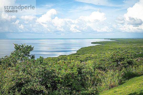 Blick auf die Bucht von Campeche Mexiko und den grünen Wald