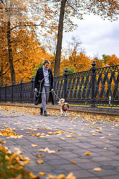 Frau geht im Herbst mit einem Cavalier King Charles Spaniel Hund im Park spazieren