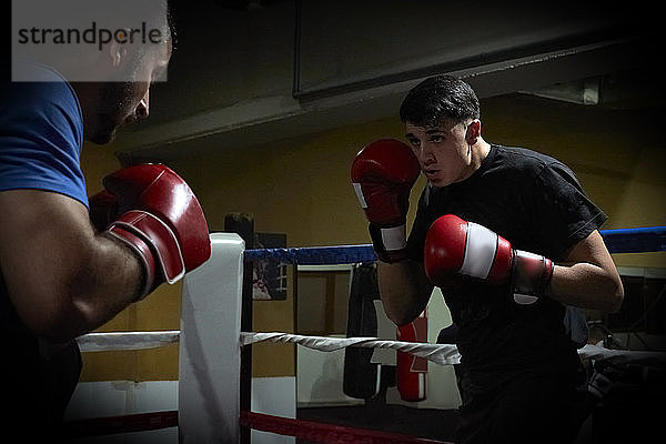 Zwei Boxer trainieren auf einem Ring