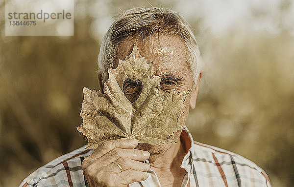 Der ältere Mann schaut durch das herzförmige Loch im Ahornblatt