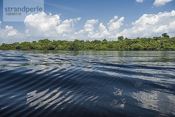 Umwerfender Blick auf das Wasser des Amazonas-Flusses
