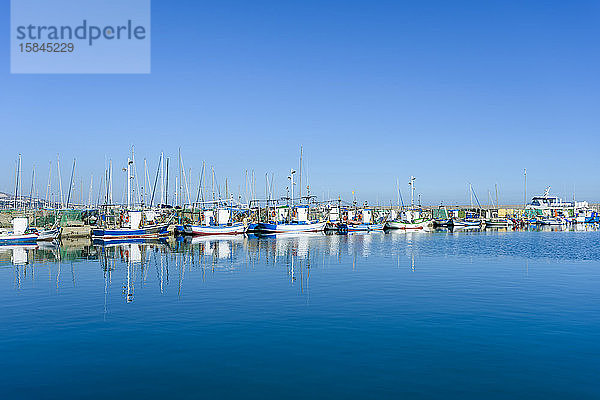 Fischereihafen von Fuengirola  Malaga  Spanien