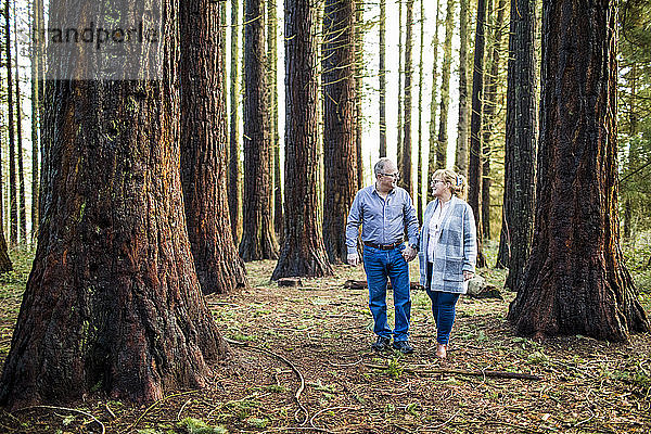 Romantisches Rentnerehepaar beim Spaziergang durch den Wald.