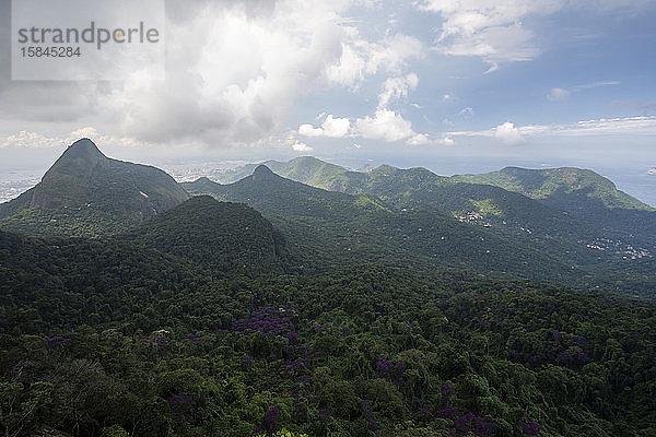 Wunderschöne grüne Regenwaldlandschaft und Berge  Tijuca-Wald