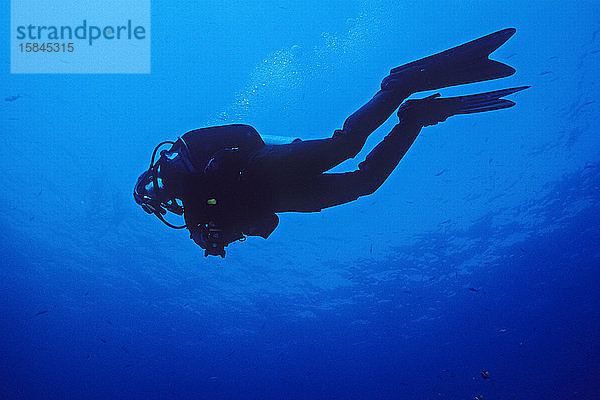 Silhouette eines Tauchgangs mit einer Kamera unter Wasser auf den Kanalinseln