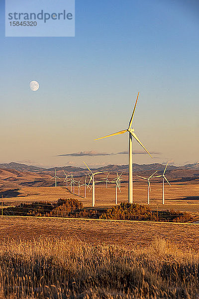 Windturbinen in einem Feld mit klarem Himmel und Mond
