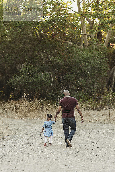 Junger Vater hält die Hand der Tochter und geht im Feld weg