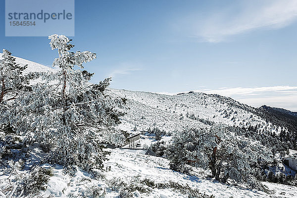 Schneebedeckte Berge und Bäume im Hafen von Navacerrada