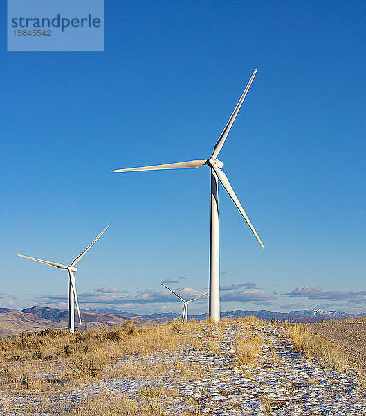 Windturbinen in einem Feld mit blauem Himmel