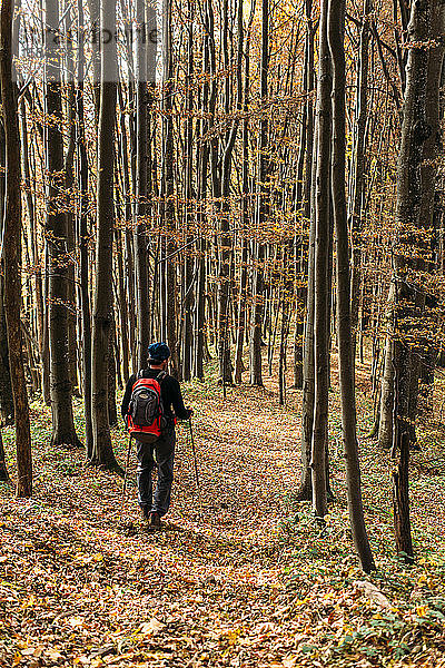 Ein Mann wandert im Herbstwald