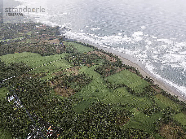 Luftaufnahme  Agrarland  Landwirtschaft  Bali  Strand  Schönheit von