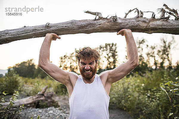 Mann übt Energie aus  um einen Baum beim Training im Freien über den Kopf zu heben.