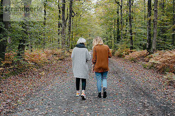 Zwei Frauen gehen in einem herbstlichen Wald spazieren  während sie ihr Smartphone überprüfen