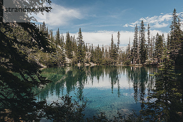 Landschaftliche Ansicht der Grassi-Seen in Canmore  Alberta  Kanada.