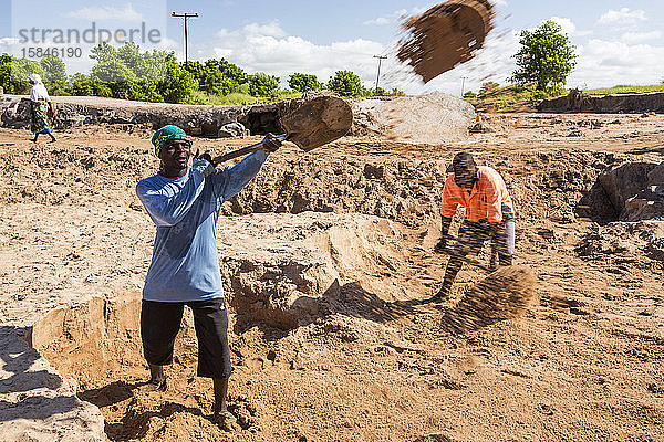 Malawier  die in der Nähe von Chikwawa  Malawi  Flussbettsand für Bauzwecke schaufeln.