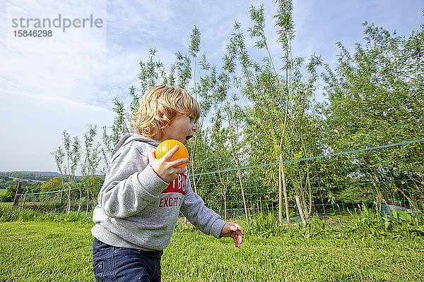 Gaspard  ein kleiner Junge  der auf einer grünen Wiese auf dem Land Bälle spielt und Spaß hat  Caurel Bretagne  Frankreich.