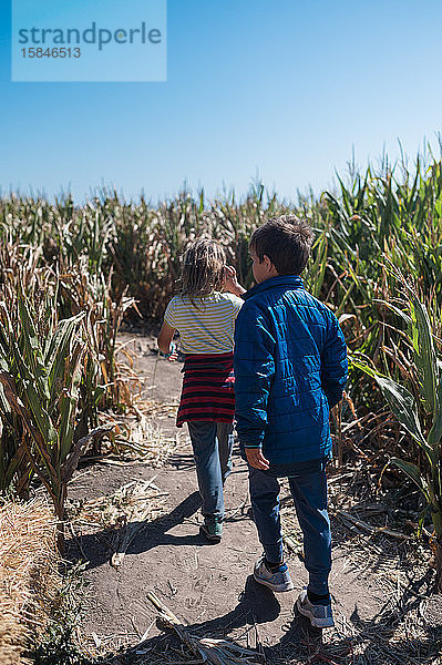 Zwei kleine Kinder in einem Maislabyrinth mit blauem Himmel