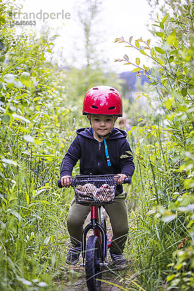 Kleinkind Junge fährt mit dem Gleichgewichtsrad durch den Wald.