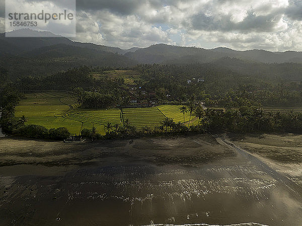 Luftaufnahme der Reisfelder an der Meeresküste