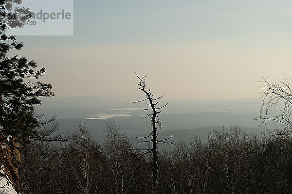 Winterliche Ural-Landschaft. Wald-Horizonte