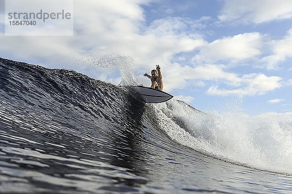 Surfer auf einer Welle