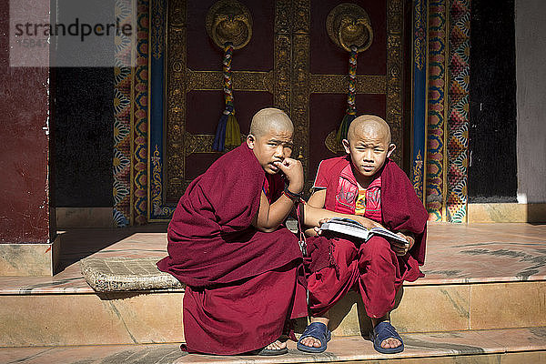 Junge buddhistische Mönche sehen ein Fotobuch über Frankreich durch.