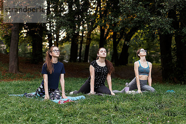 Die entspannten Mädchen machen Yoga im Park auf Teppich