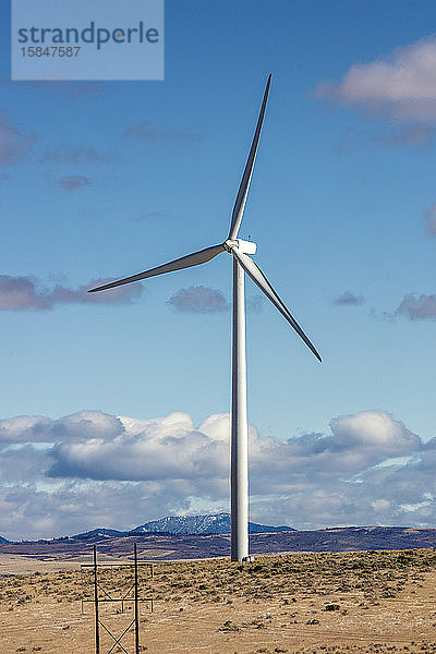 Windturbinen in einem Feld mit blauem Himmel