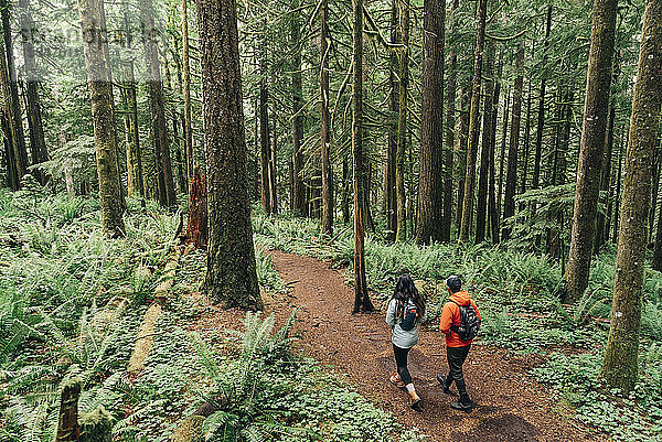 Ein junges Paar genießt eine Wanderung in einem Wald im pazifischen Nordwesten.