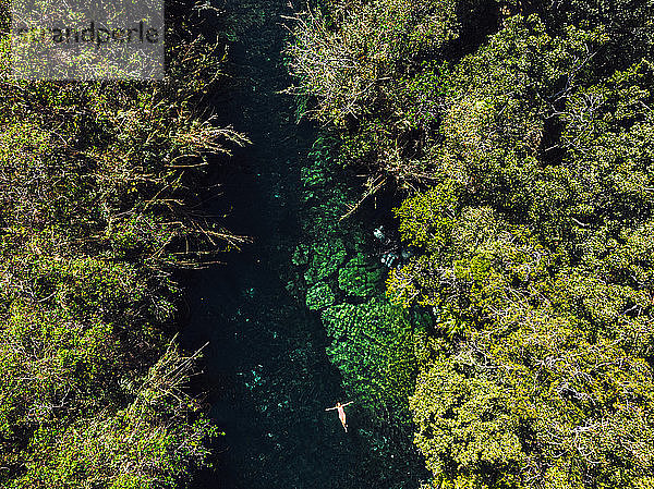 Frau schwimmt entspannt im sauberen grünen Wasser der Cenote Escondido