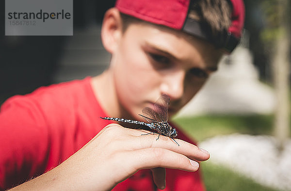 Nahaufnahme eines Jungen  der eine Libelle untersucht  die er auf seiner Hand hält.