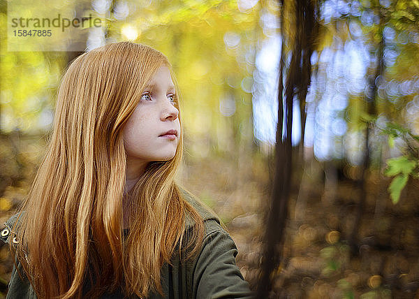 Schönes rothaariges Mädchen in den Wäldern