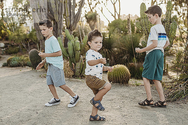 Drei junge Brüder tanzen im sonnigen Kaktusgarten
