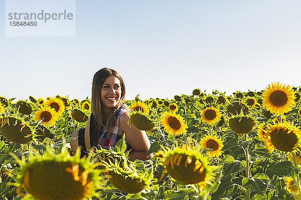 Lächelnde junge Frau  die an einem sonnigen Tag zwischen Sonnenblumen spazieren geht