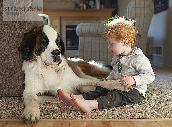 Kleinkind sitzt neben grossem Hund auf dem Boden  während es den Hundefuss hält