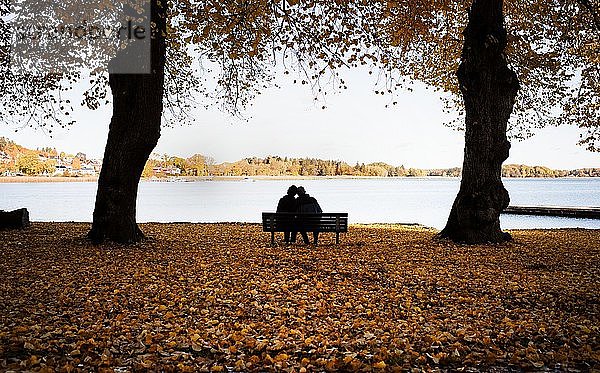 Ein Paar sitzt auf einer Bank  umgeben von Herbstlaub und genießt die Landschaft