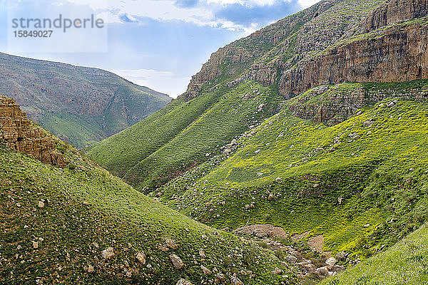 Wadi-Auja-Schlucht im Frühling  Ramallah und al-Bireh  Westjordanland  Palästina