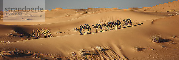 Menschen  die auf Dromedaren durch die Wüste reiten