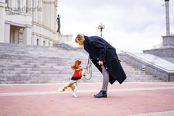 Frau auf dem Spaziergang mit einem Cavalier King Charles Spaniel Hund